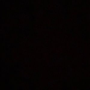 Meet your Posher, Kat